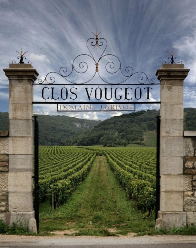 《活動 – Gros F&S Clos de Vougeot Musigni 2008》