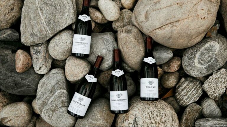 《勃根地最好的傳統酒莊 by Allen Meadows – Domaine Michel Gaunoux Pommard 1er Grands Epenots 垂直年份》