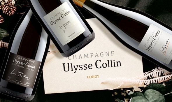 《勃根地痴兒 – Champagne Ulysse Collin》