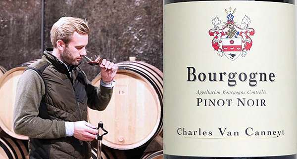 Charles Van Canneyt Bourgogne Pinot Noir 2020