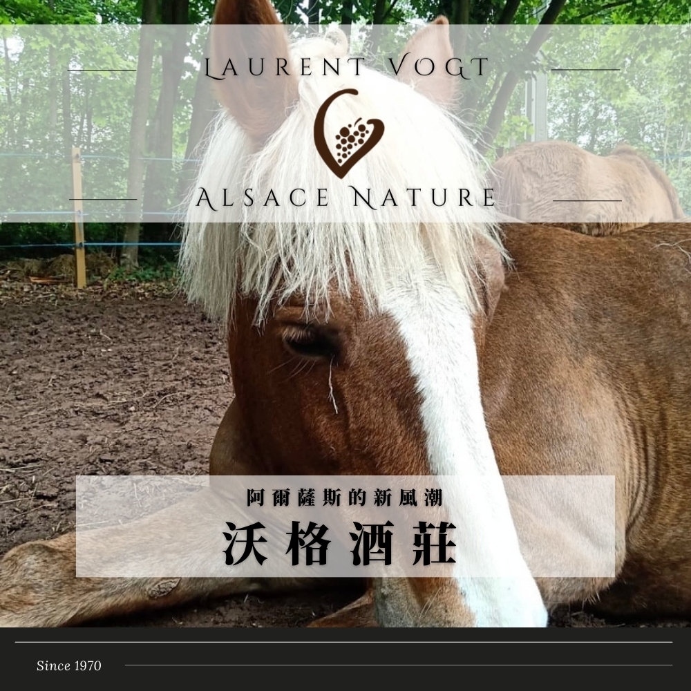 Laurent Vogt Alsace Atypique 2023