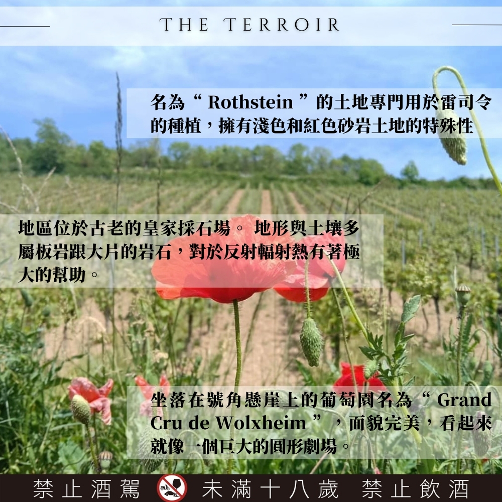 Laurent Vogt Alsace Atypique 2023